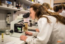 לימודי רפואת שיניים בחו"ל