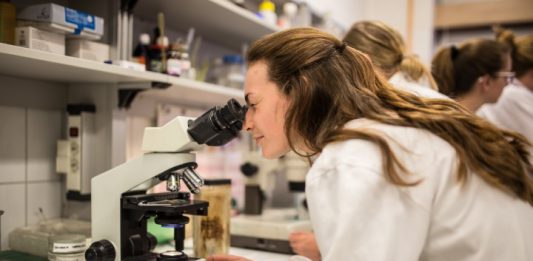 לימודי רפואת שיניים בחו"ל