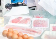 שירותי ייעוץ מזון ותקנים בתחום המזון
