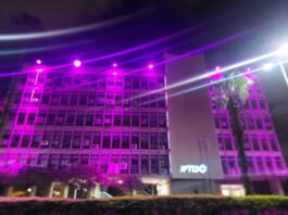 כללית מאירה בסגול