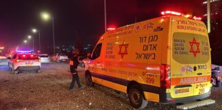 סיכום מד"א ליום השני למבצע "שאגת הארי"